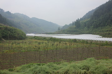 农村景色