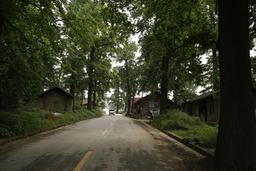 森林公路