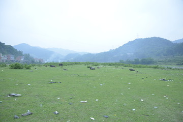 草地素材