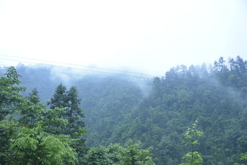 山水森林