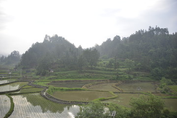 田园景色