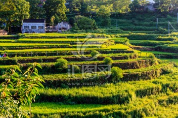 南岗排瑶寨全景