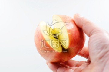 手里拿着切开一瓣的苹果