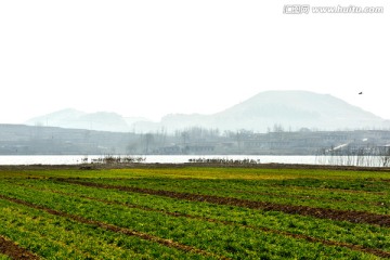 田野湖泊