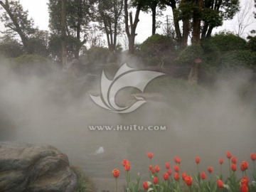 美景 花草 云雾 仙境