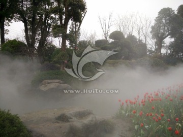 美景 花草 云雾 仙境