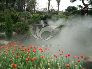 美景 花草 云雾 仙境