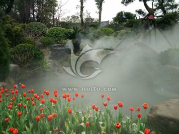 美景 花草 云雾 仙境
