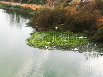 河流污染白色垃圾