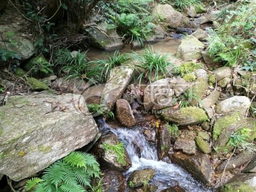 大自然风景天然山泉