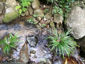 大自然风景天然山泉