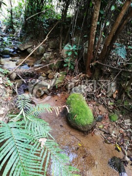 大自然纯天然山泉水