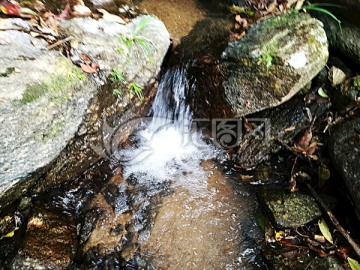 纯天然大自然泉水