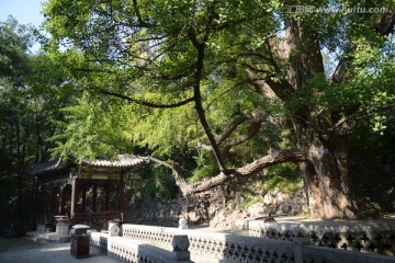 晋祠