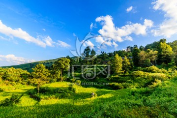 南岗排瑶寨沿途风景