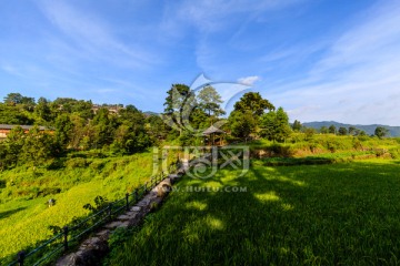 南岗排瑶寨沿途风景