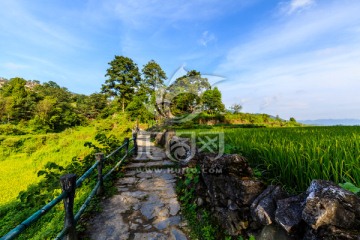 南岗排瑶寨沿途风景