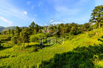 南岗排瑶寨沿途风景