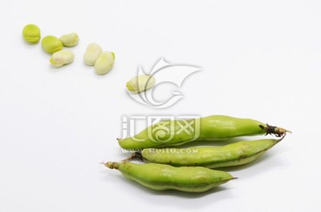 白色背景上的新鲜蚕豆