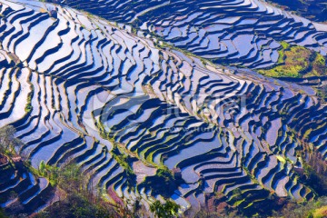 元阳梯田