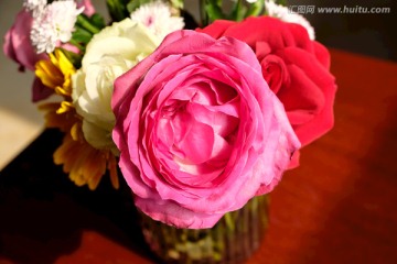 鲜花