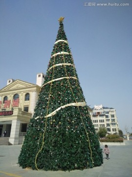圣诞树 大 高