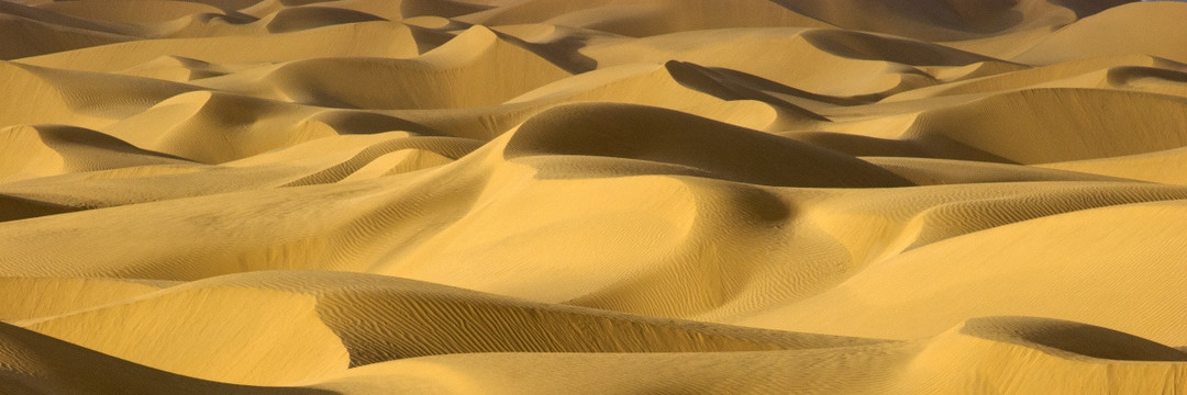 金色沙漠