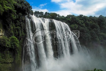 黄果树