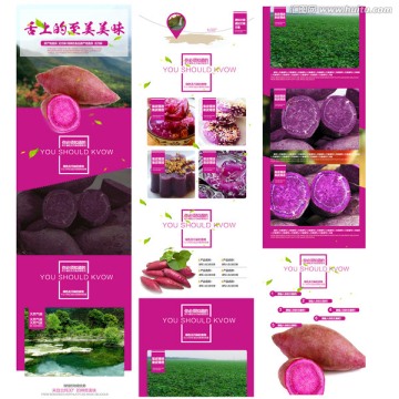 大气紫薯土特产详情页