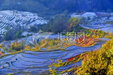 元阳坝达梯田