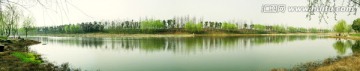 长沙洋湖湿地公园春季河岸风景