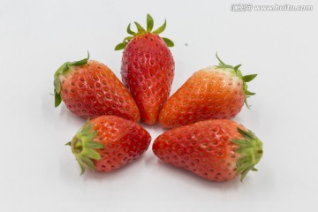 草莓摄影素材