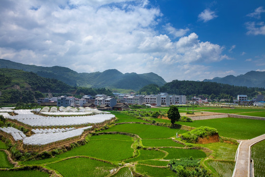 周坪素材