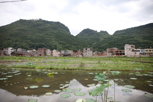 稻田马家寨