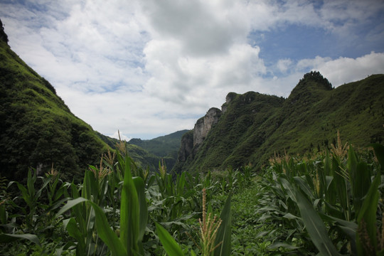 鳌山腊岩