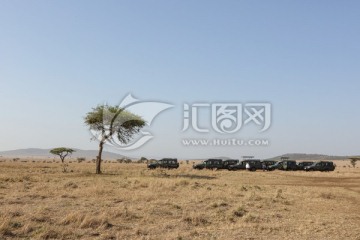 塞伦盖蒂国家公园 树木草丛