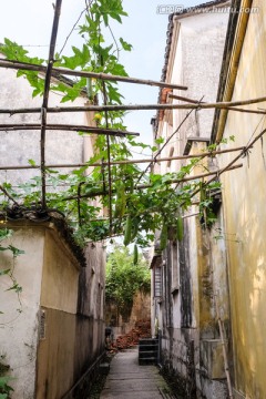 乡村小路