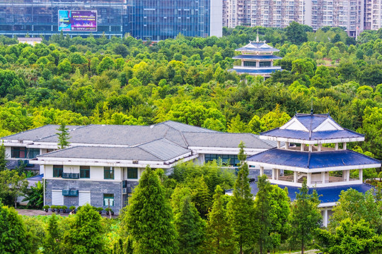 温州白鹿洲公园