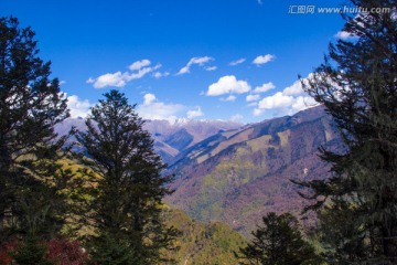 四姑娘山