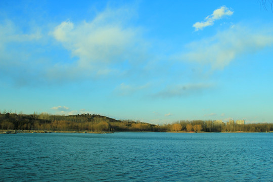 奥林匹克公园湿地