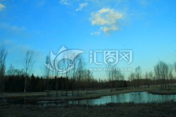 湿地