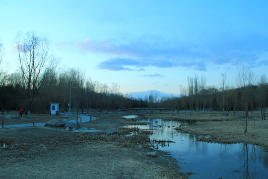 奥林匹克公园湿地