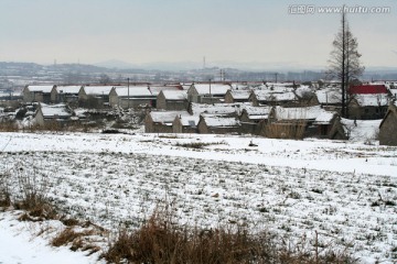 雪落万户