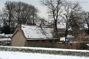 迎春雪