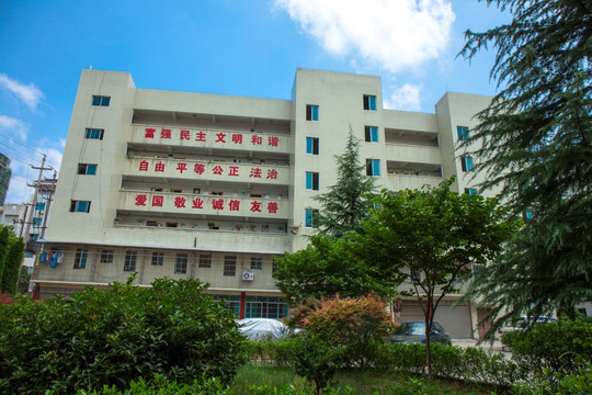 国税小区