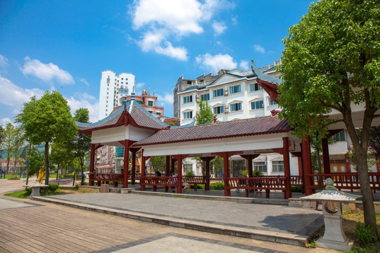 岑巩绿化
