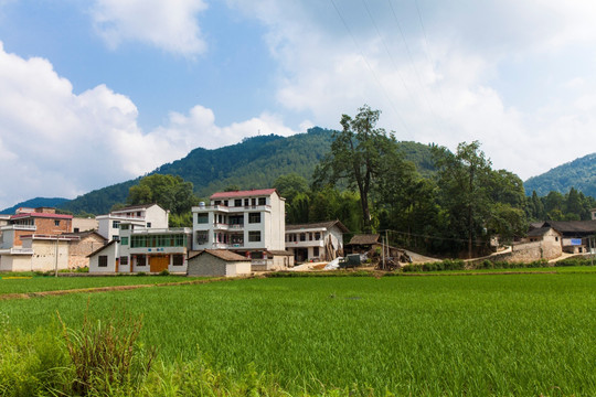 美丽农村