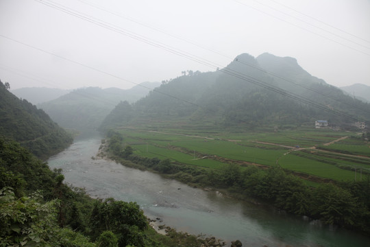 水稻基地