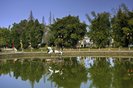 兰溪中洲公园水池喷泉 仙鹤雕塑