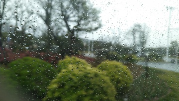 雨水窗外风景